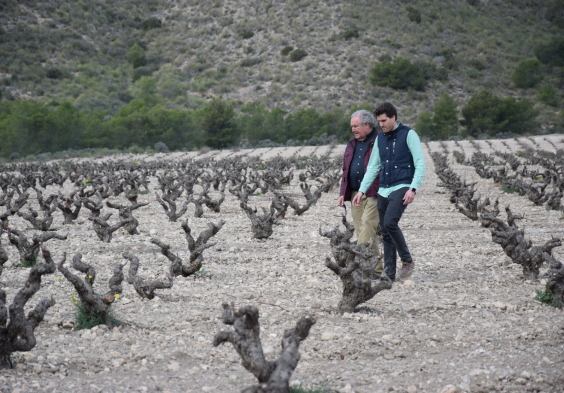 bodegas alceno (6)