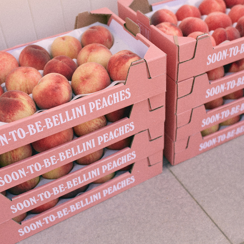 canella soon to be bellini