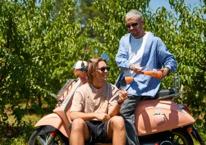 Zwei Männer auf rosa Vespa, einer schenkt Getränk ein, Obstbäume im Hintergrund.