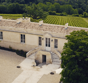 Historisches Steingebäude mit luxuriösen Treppen, umgeben von üppigen Weinbergen und Bäumen.