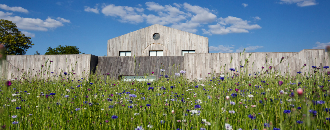 Modernes Holzhaus hinter einer Wiese mit bunten Wildblumen und blauem Himmel.