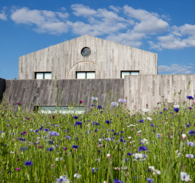 Modernes Holzhaus hinter einer Wiese mit bunten Wildblumen und blauem Himmel.