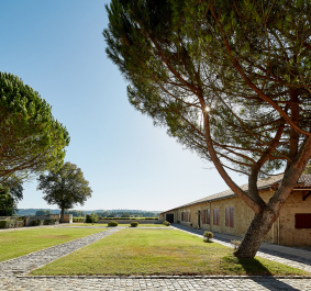 Gepflasterter Weg zwischen grünen Rasenflächen, flankiert von großen Bäumen und Gebäuden.