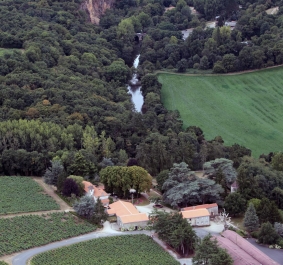 Luftaufnahme einer grünen Landschaft mit Wald, Fluss und Gebäuden.