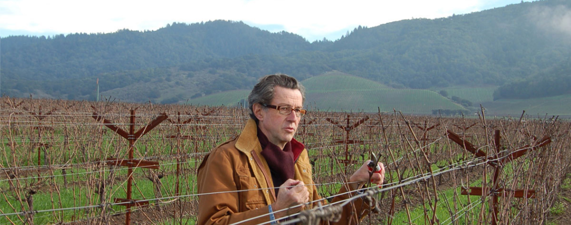 Mann in brauner Jacke beschneidet Rebstöcke im weiten Weinberg vor bewaldeten Hügeln.