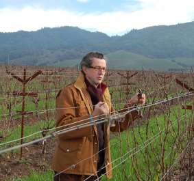 Mann in brauner Jacke beschneidet Rebstöcke im weiten Weinberg vor bewaldeten Hügeln.