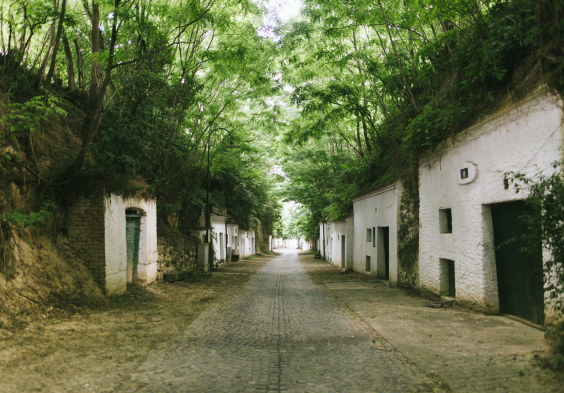 ebner ebenauer allee maximiliansalzer 4