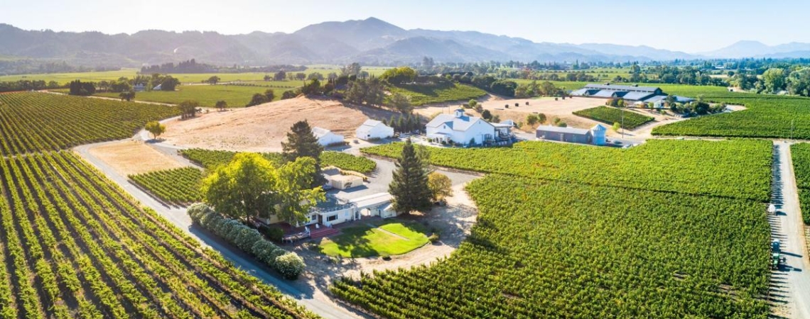 Weitläufige Weinberge und weiße Gebäude mit malerischem Bergblick im Hintergrund.