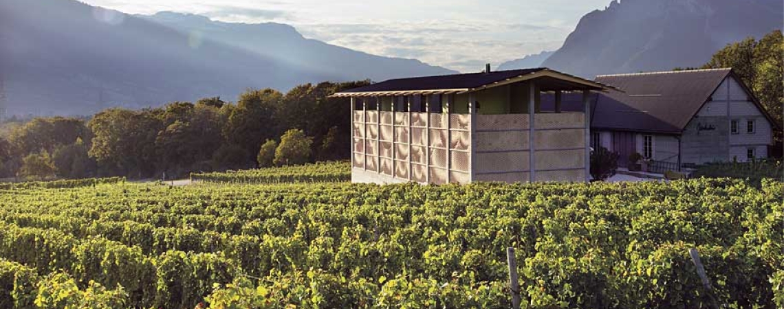 Weinberg mit modernem Gebäude vor malerischer Bergkulisse bei Sonnenuntergang.