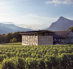 Weinberg mit modernem Gebäude vor malerischer Bergkulisse bei Sonnenuntergang.