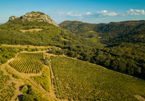 gerard bertrand clos du temple drone credit photo balkan tekelioglu (1)
