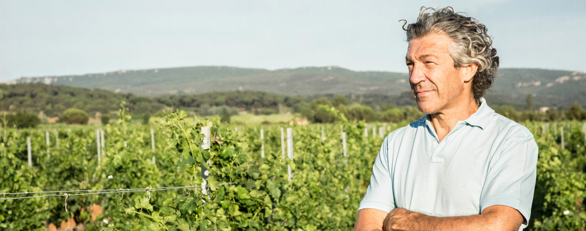 Mann im grünen Weinberg mit verschränkten Armen, im Hintergrund Hügel.
