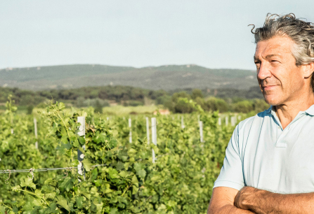 Mann im grünen Weinberg mit verschränkten Armen, im Hintergrund Hügel.