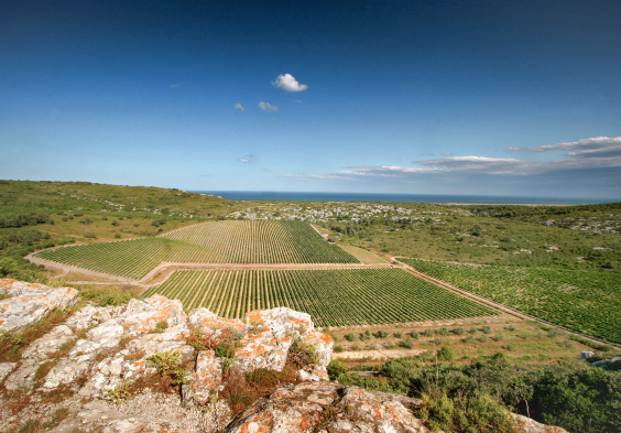 gerard bertrand panorama hospitalitas credit photo gilles deschamps