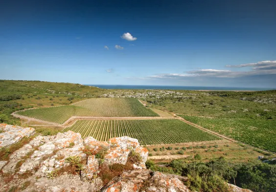 gerard bertrand panorama hospitalitas credit photo gilles deschamps