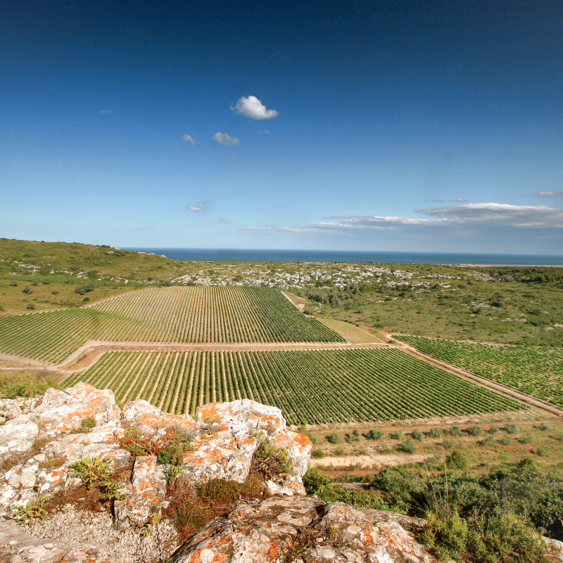 gerard bertrand panorama hospitalitas credit photo gilles deschamps