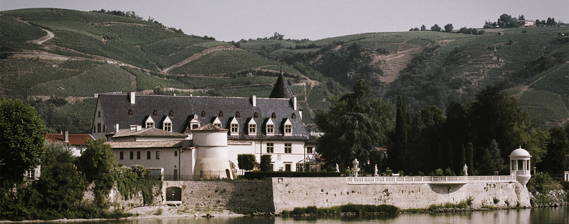 Schloss am Fluss mit grünen Weinbergen im Hintergrund.