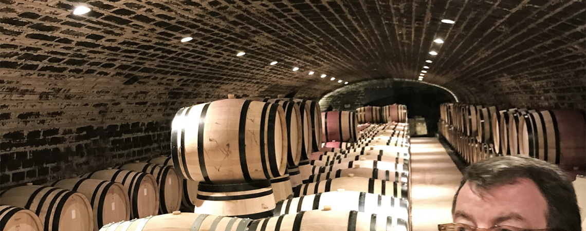 Weinkeller mit gewölbter Ziegeldecke und Reihen von Holzfässern.