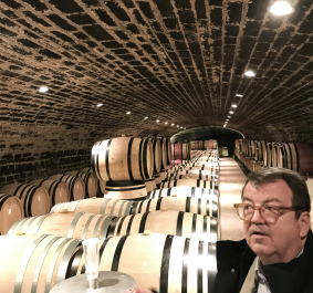 Weinkeller mit gewölbter Ziegeldecke und Reihen von Holzfässern.