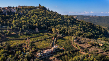 Hügelige Landschaft mit dichter Bewaldung und Weinbergen unter klarem Himmel.
