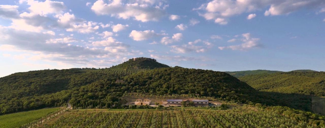 Weingut in hügeliger Landschaft bei klarem Himmel und Wolken.