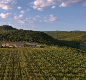 Weingut in hügeliger Landschaft bei klarem Himmel und Wolken.
