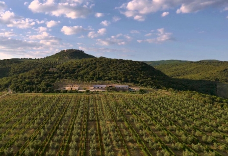 Weingut in hügeliger Landschaft bei klarem Himmel und Wolken.