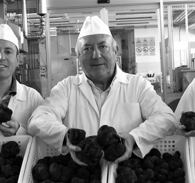 Drei Männer in weißen Kitteln halten Körbe voller Trüffel.