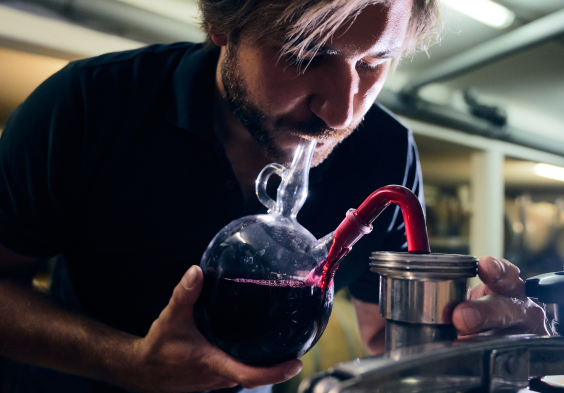 kolfok std fass dom III