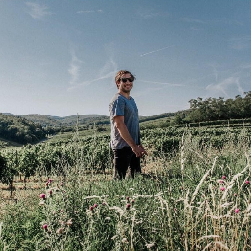 kolfok std im bodigraben