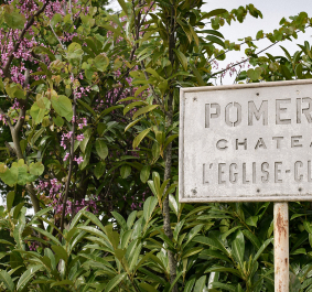 Metallschild vor üppigem grünen Laub und blühender Pflanze.