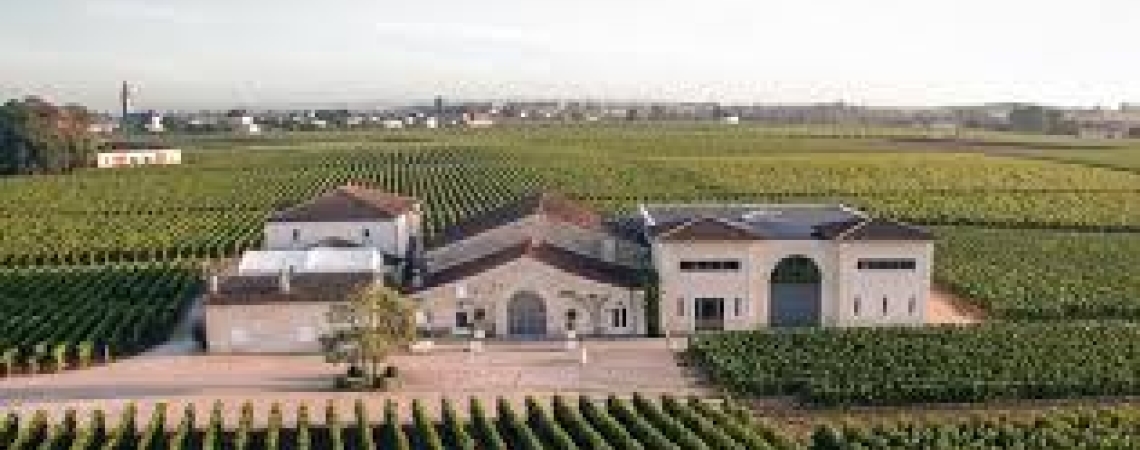 Weingut inmitten ausgedehnter, gepflegter Weinberge unter klarem Himmel.