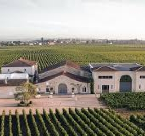 Weingut inmitten ausgedehnter, gepflegter Weinberge unter klarem Himmel.