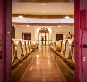 Roter Türrahmen öffnet Blick in Weinkeller mit Holzfässern und gefliesten Boden.