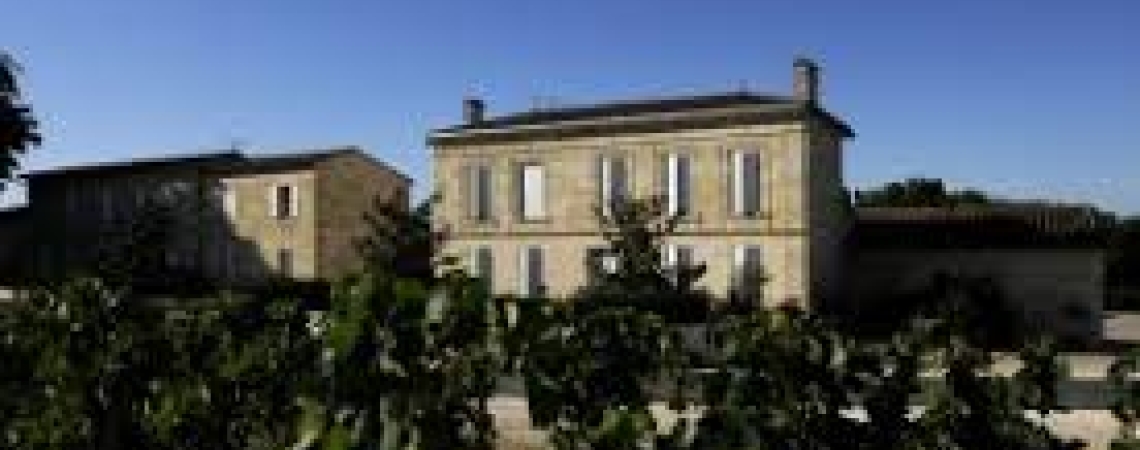 Historisches Gebäude mit umliegenden Weinreben bei klarem, blauem Himmel.