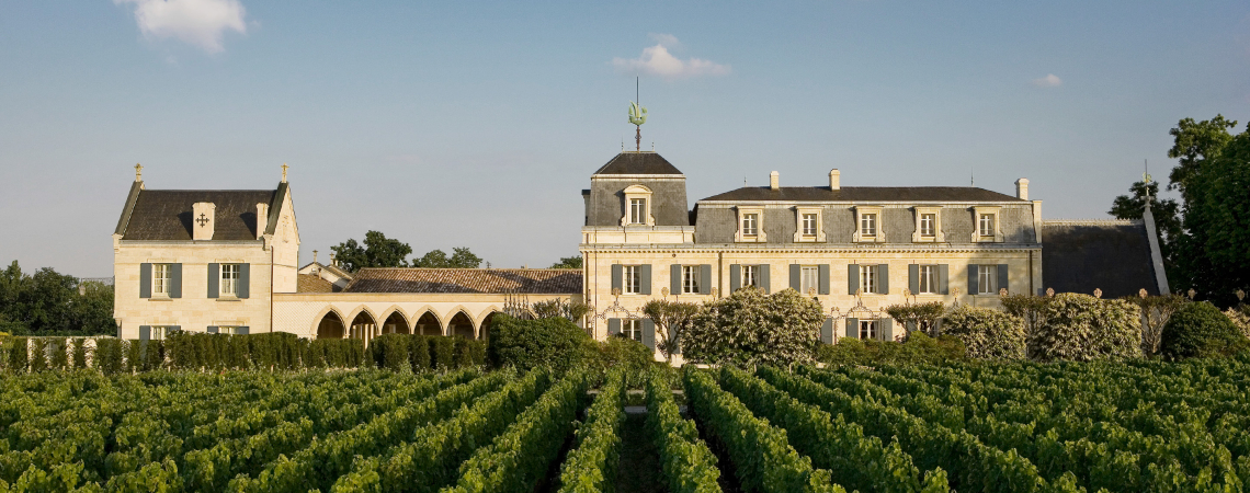 Historisches Schloss mit Weinbergen im Vordergrund unter klarem, blauem Himmel.