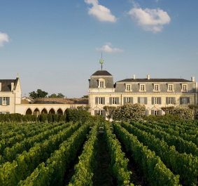 Historisches Schloss mit Weinbergen im Vordergrund unter klarem, blauem Himmel.