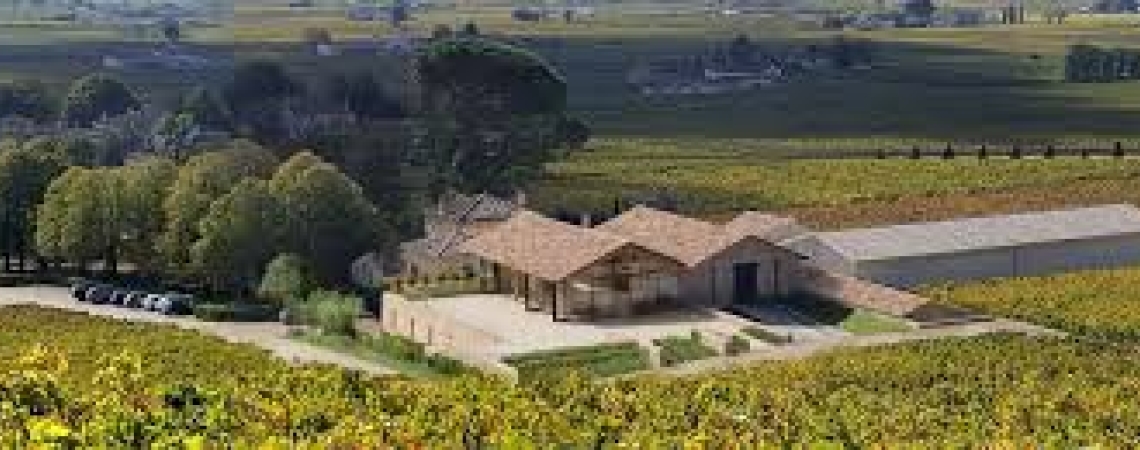 Weingut mit Gebäuden inmitten von üppigen Weinbergen und Bäumen.