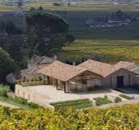 Weingut mit Gebäuden inmitten von üppigen Weinbergen und Bäumen.