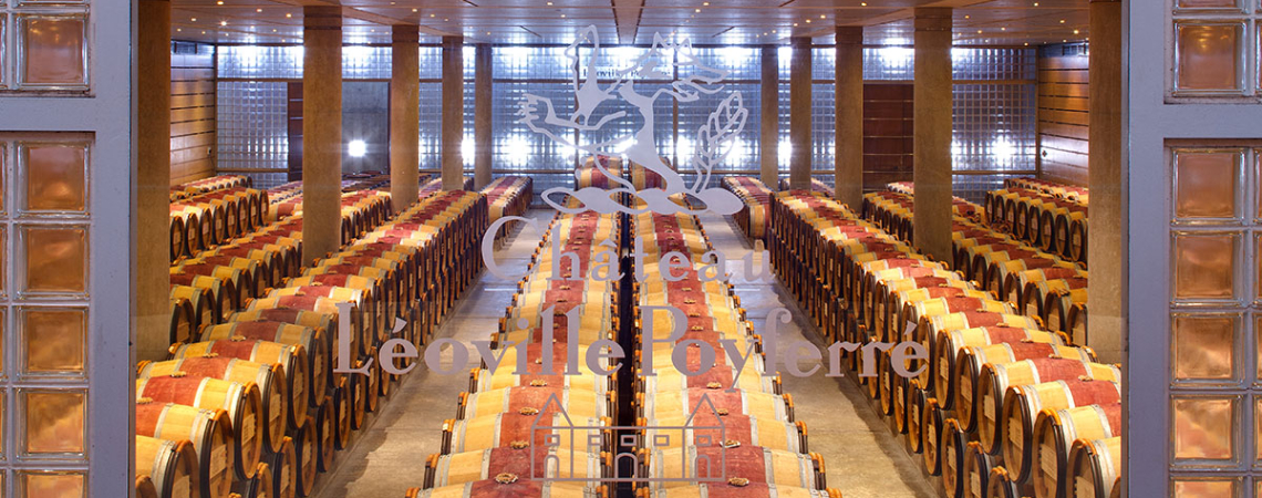 Weinkeller mit gestapelten Fässern und warmem Licht.