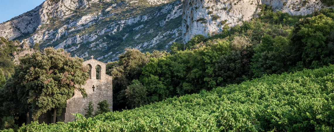 Weinberge vor Bergkulisse mit historischem Steingebäude im Vordergrund.
