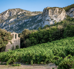 Weinberge vor Bergkulisse mit historischem Steingebäude im Vordergrund.