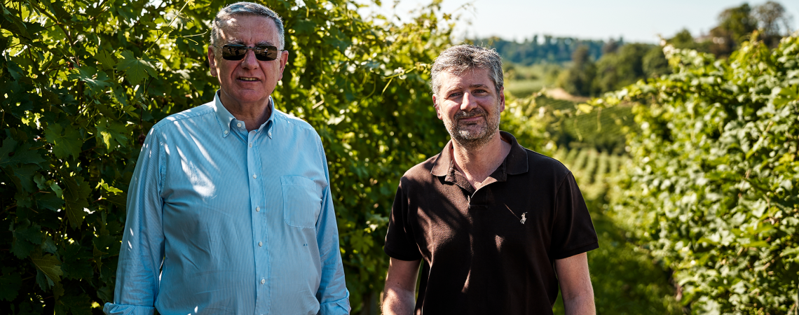 Zwei Männer stehen zwischen Weinstöcken in sonnigem Weinberg.