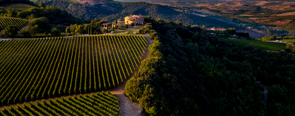 Weinberge und Hügel bei Sonnenuntergang mit vereinzelten Gebäuden im Hintergrund.
