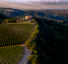 Weinberge und Hügel bei Sonnenuntergang mit vereinzelten Gebäuden im Hintergrund.