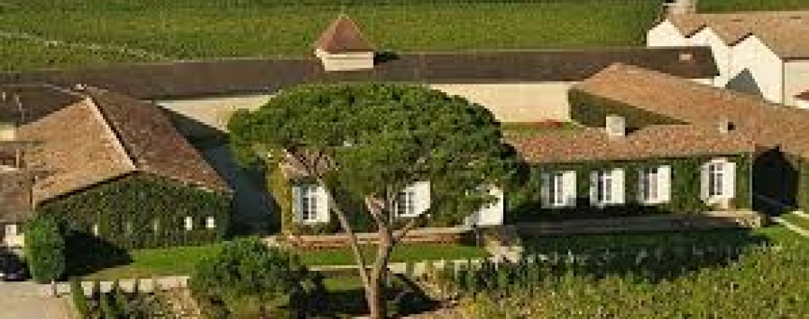 Luftaufnahme eines Weinguts mit umliegenden Feldern und zentraler großer Baum.