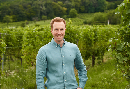 Mann in blauem Hemd steht lächelnd in einem grünen Weinberg.