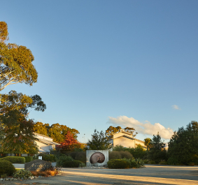 Landschaft mit großem Baum, modernen Gebäuden und skulpturalem Element bei klarem Himmel.