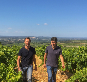 Zwei Männer gehen durch ein sonniges Weinfeld mit weitem Ausblick.