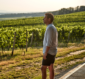 Mann in hellblauem Hemd steht in einem üppigen Weinberg bei Sonnenuntergang.